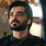 Hamza Abbasi
