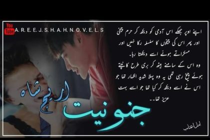 Junooniyat Novel